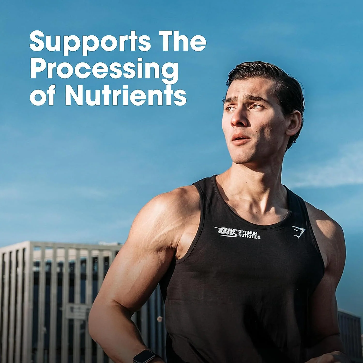 Performance Whey Protein Powder 1Kg (Chocolate Milkshake) + Multivitamin for MEN- 60 Tablets - Image 20